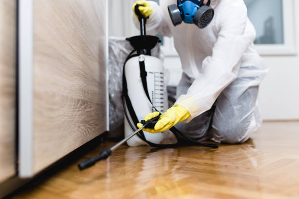 Pest Control for Restaurants in Salmon Creek, WA