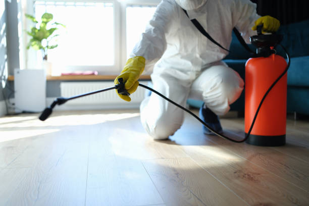 Trusted Salmon Creek, WA Pest Control Experts